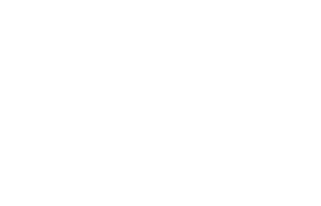Leadership Impact Index Logo